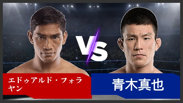 エドゥアルド・フォラヤン vs 青木真也