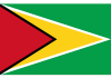 Guyana flag